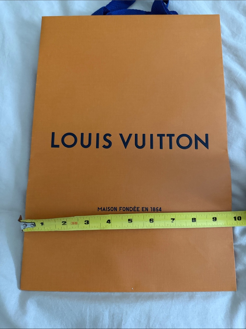 Louis Vuitton shopping bag